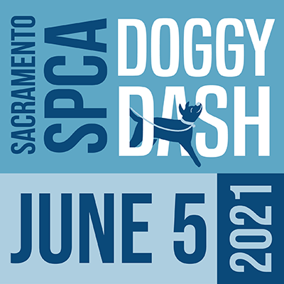 Doggy Dash 2021