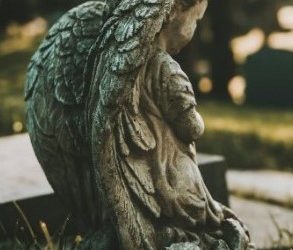 Monthly Chief’s Report