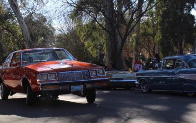 LPCA Stance on Illegal Car Show & Cruising Events in Land Park