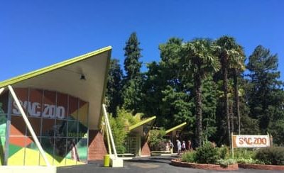 Latest Update: Sacramento Zoo Move to Elk Grove