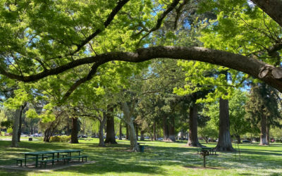 Will William Land Regional Park Remain Underfunded as Population Grows?