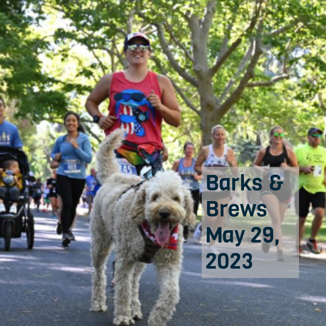Barks & Brews Run Land Park