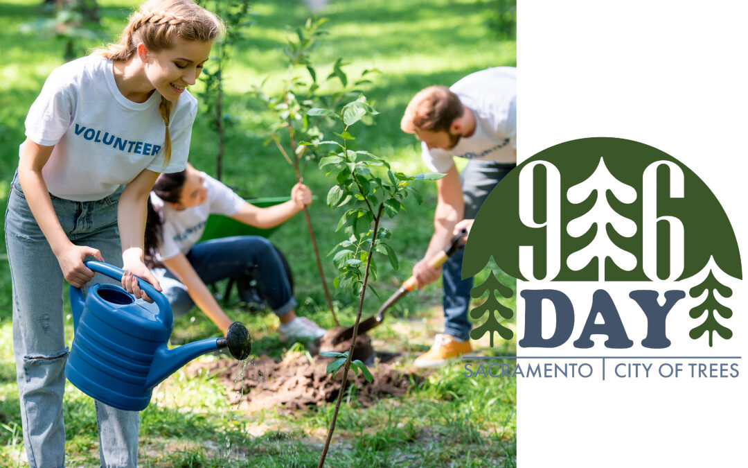 Volunteer on 916 Day and Bring New Trees to Land Park