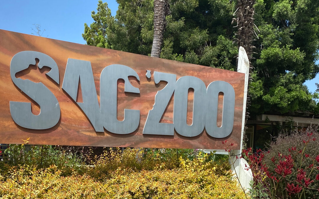 News on the Sacramento Zoo Move