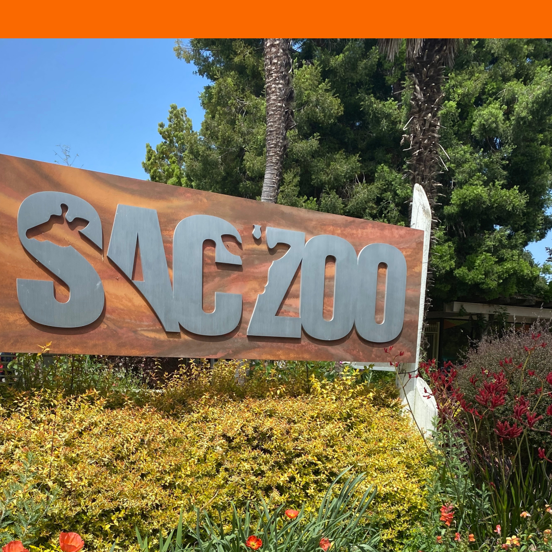 News on the Sacramento Zoo Move Land Park Community Association