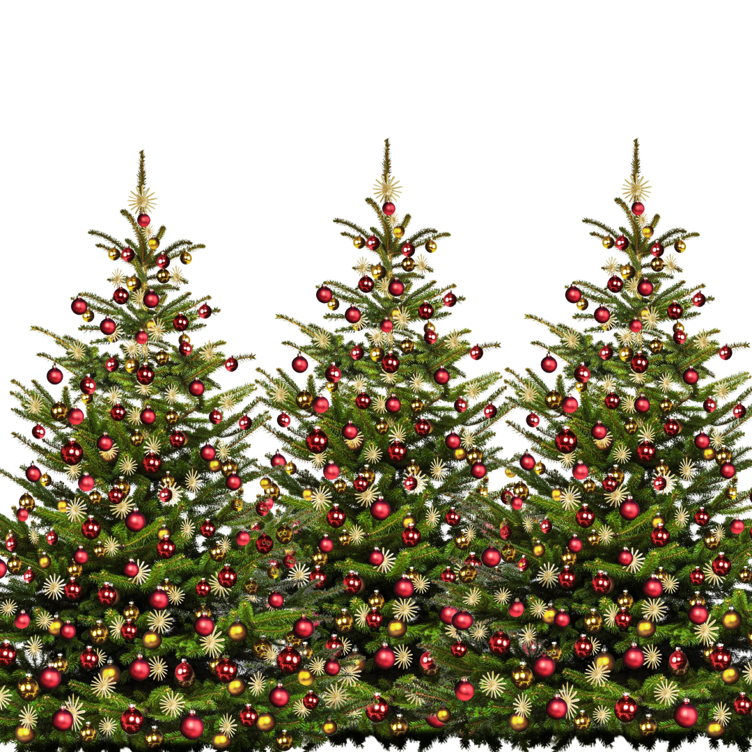 Wondering How to Dispose of Your Christmas Tree? Land Park Community