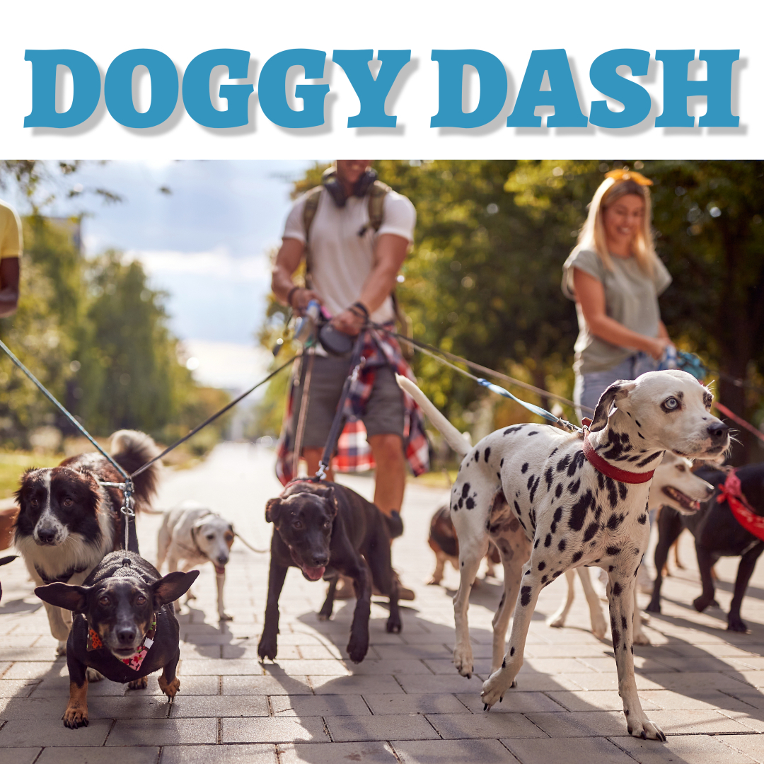 Doggy Dash 2024