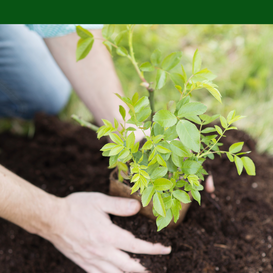 Land Park Sacramento