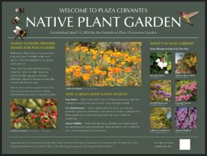 native plant garden