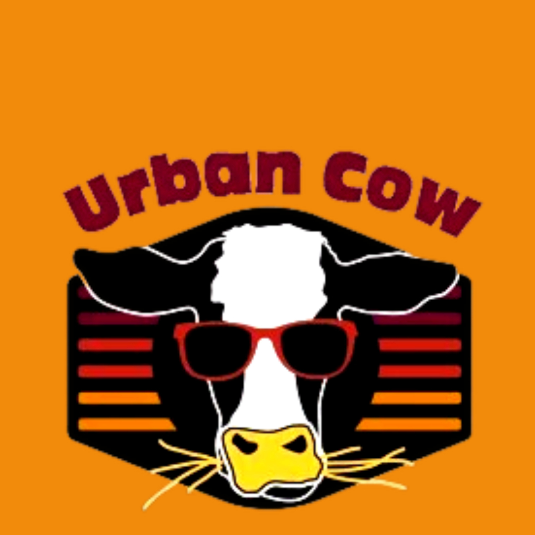 Urban Cow 2024