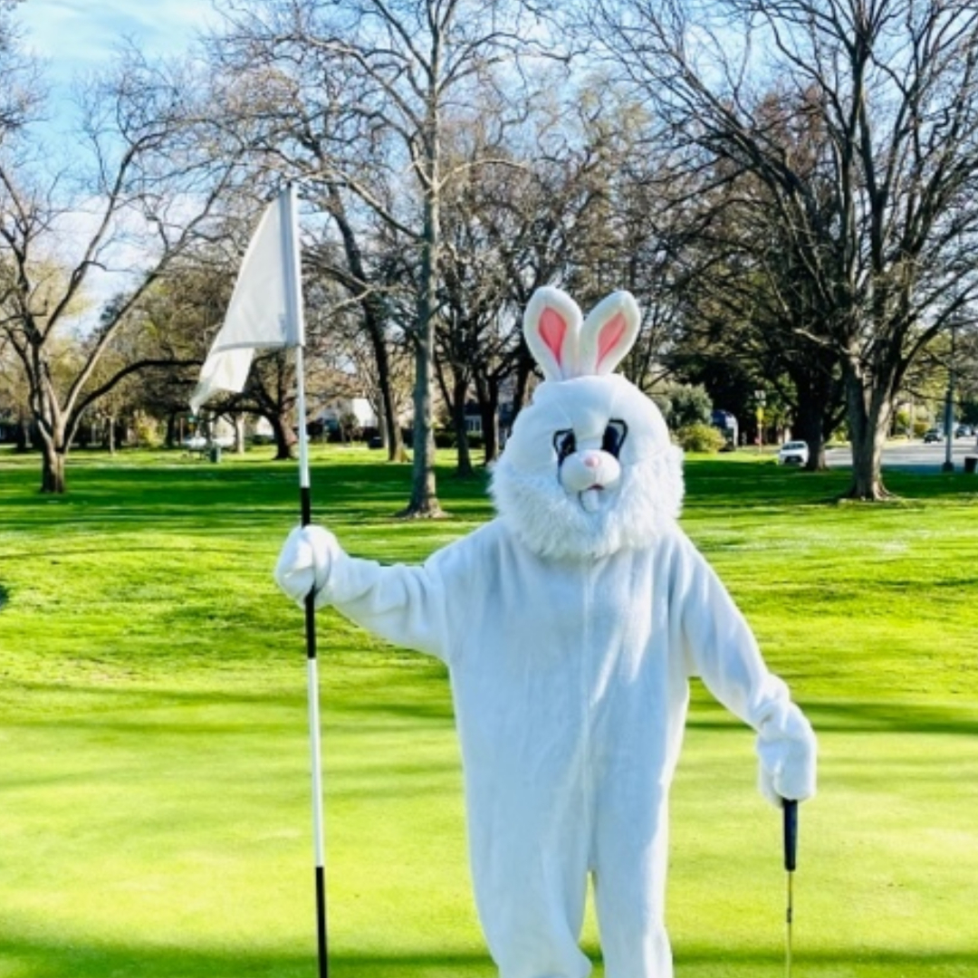 Bunny on the Green Land Park 2025