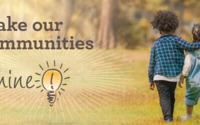 Get $$ from SMUD and Shine!