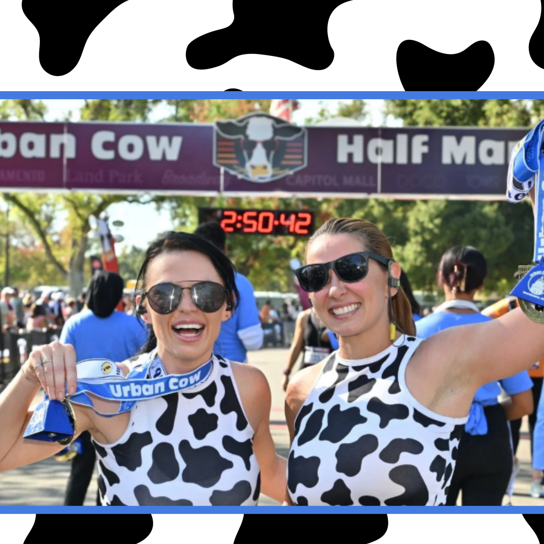 Urban Cow Web Urban Cow Sacramento 2025