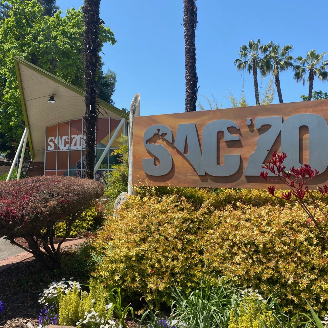 Sacramento Zoo Sacramento Zoo Expansion