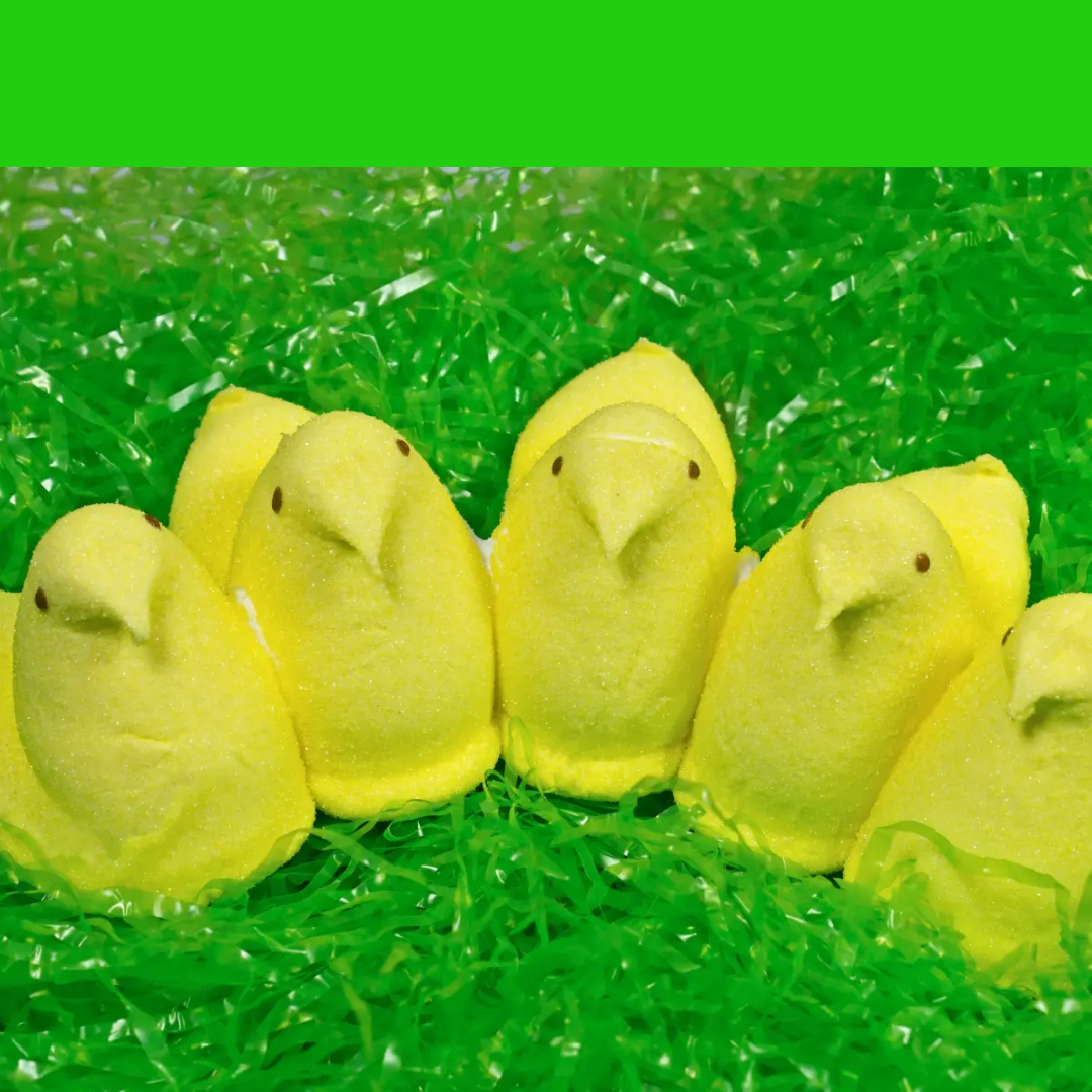 Land Park Meeting March 2026