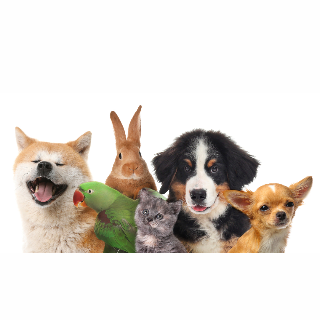 Land Park Meeting Sept 2026