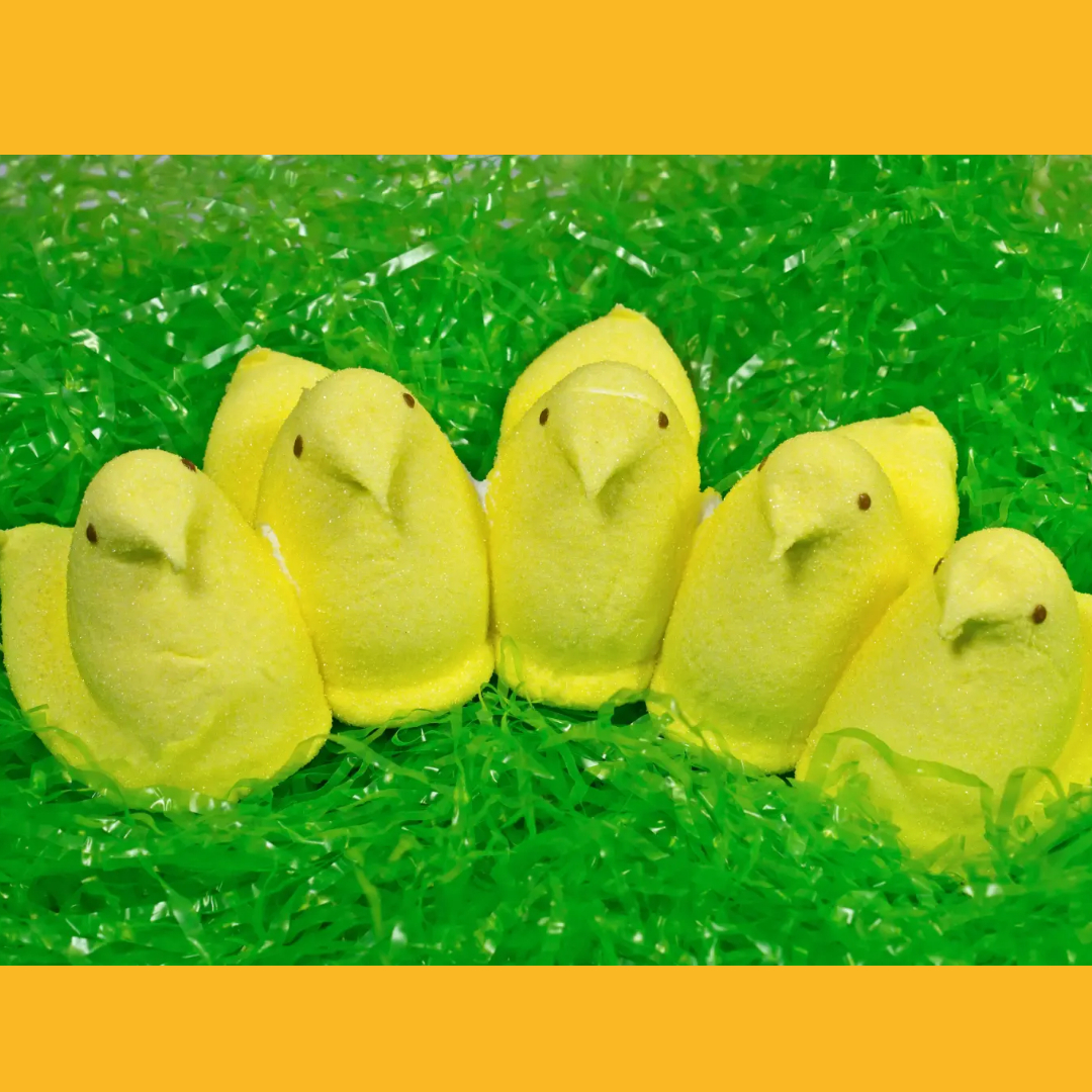 Land Park Community Mtg March 2026