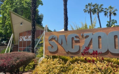 Sacramento Zoo Expansion Update