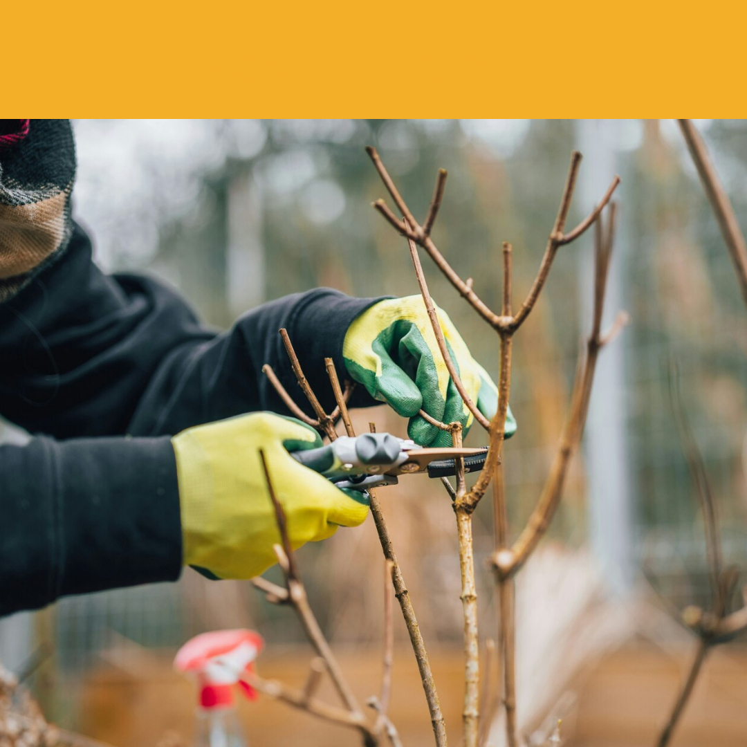 Land Park Volunteer Corps April 2026