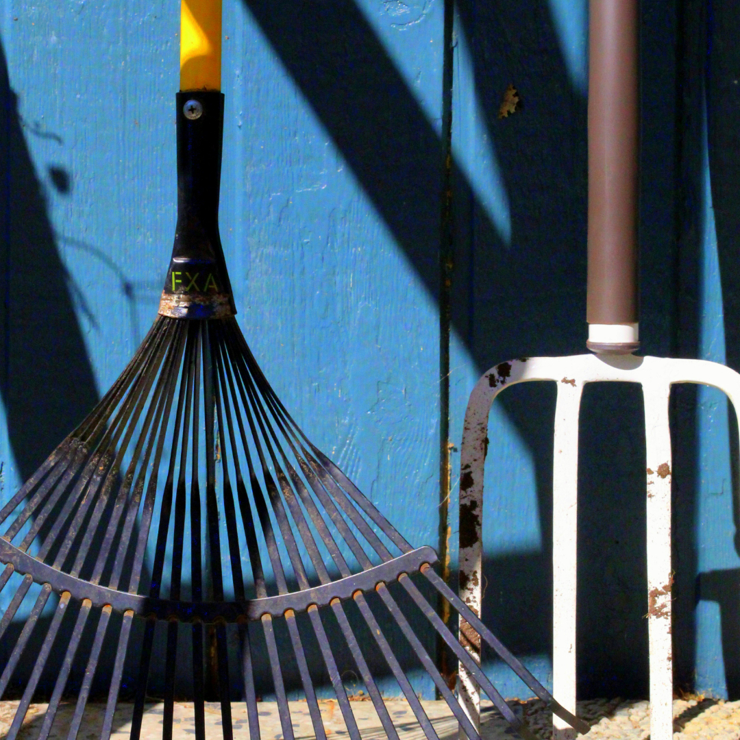 Land Park Volunteer Corps August 2026