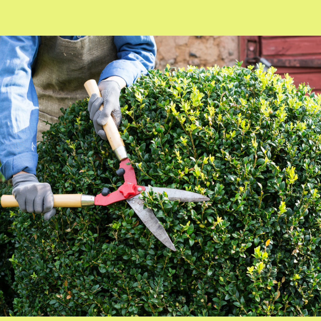 Land Park Volunteer Corps June 2026