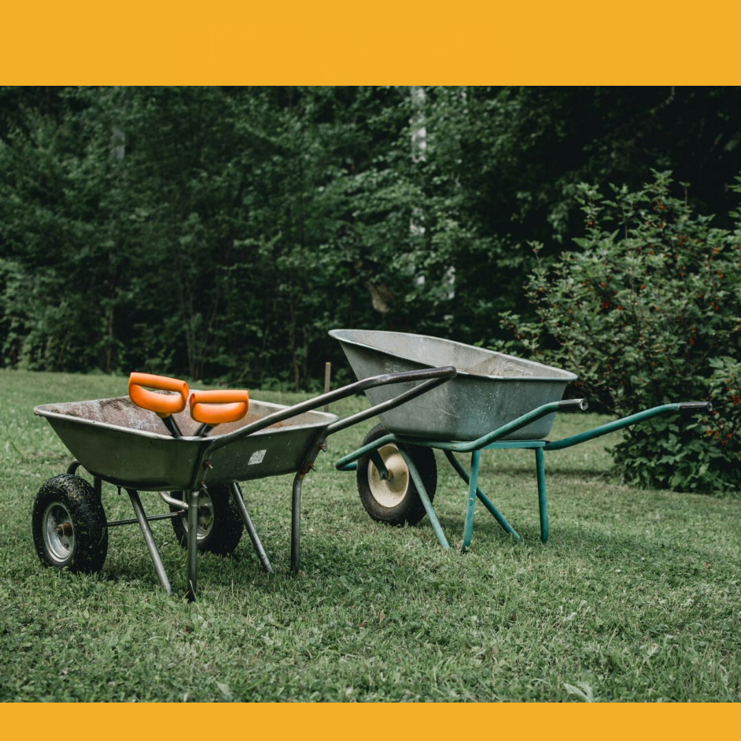 Land Park Volunteer Corps May 2026