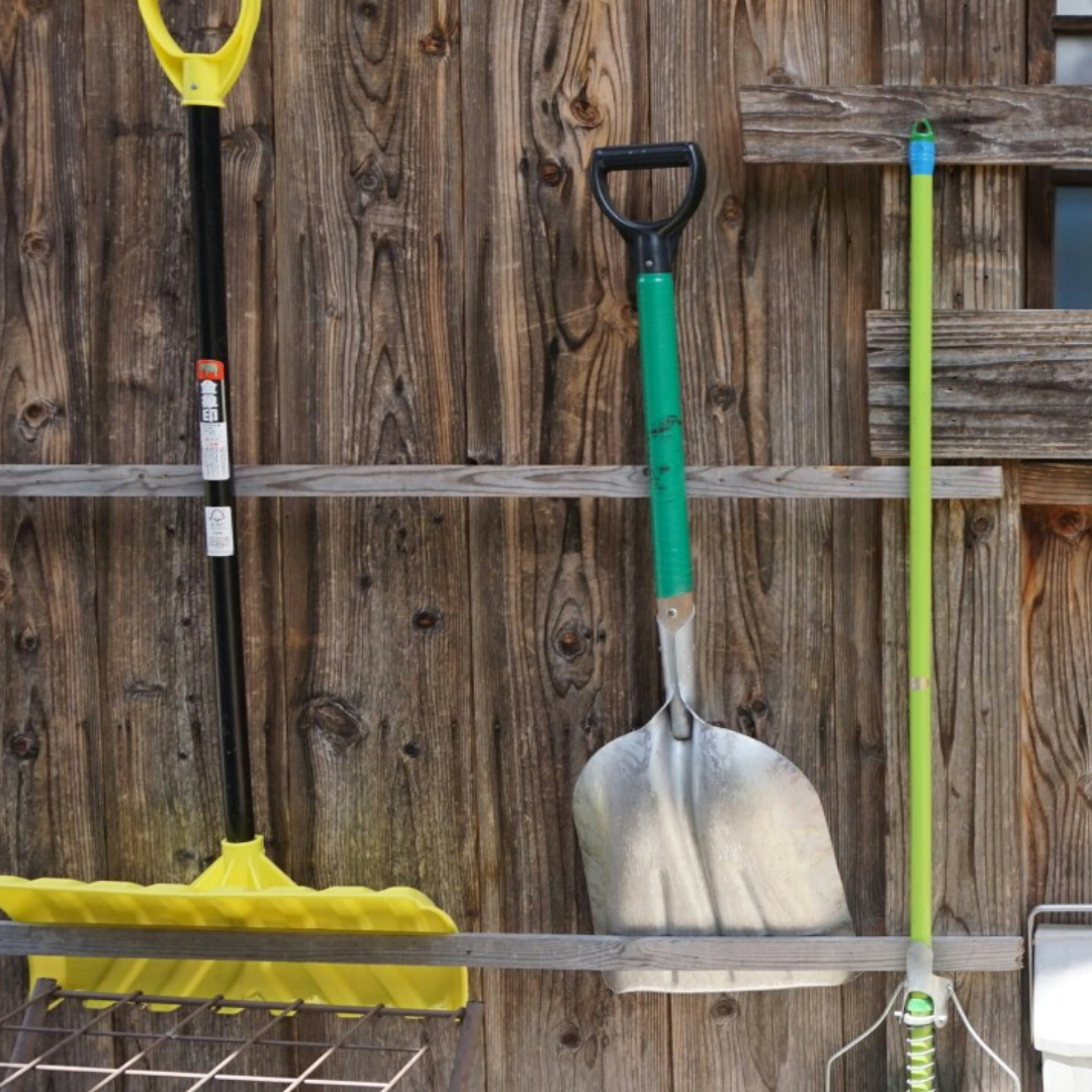 Land Park Volunteer Corps November 2026