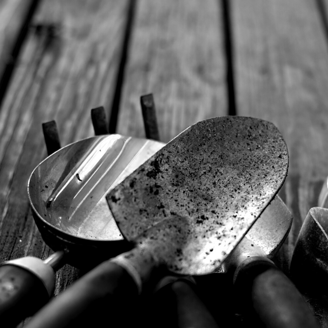 Land Park Volunteer Corps October 2026