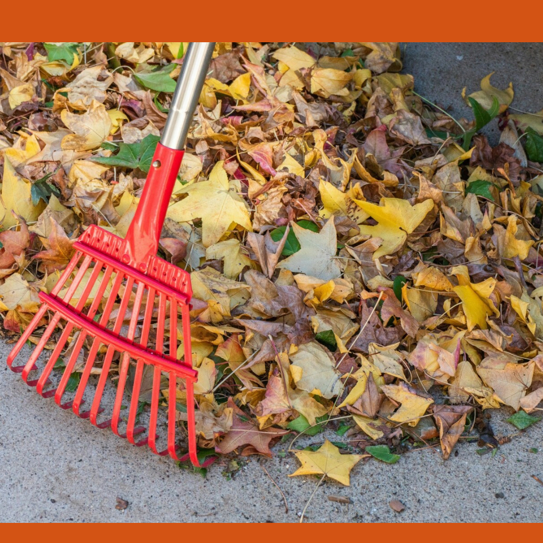 Land Park Volunteer Corps September 2026